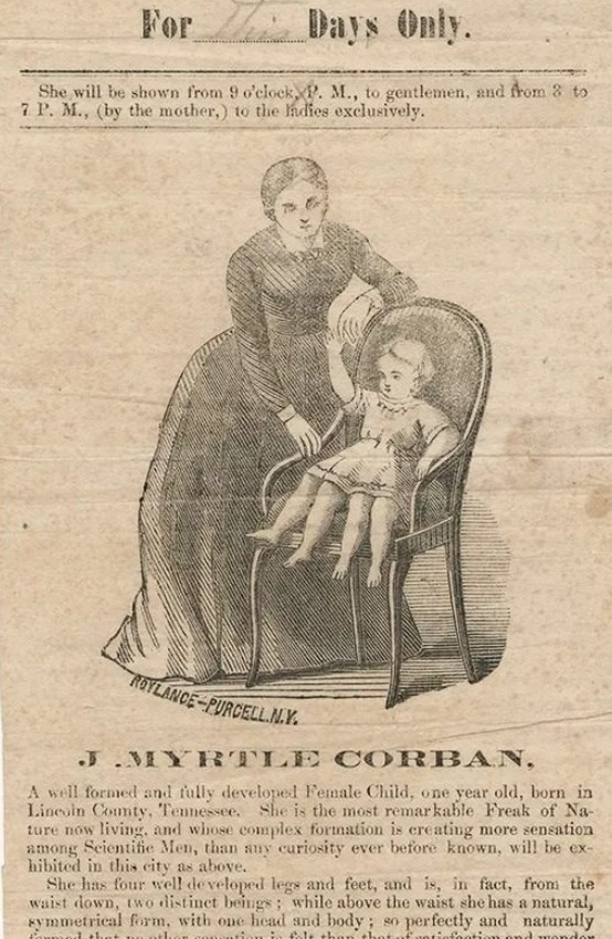 Portrait de Myrtle